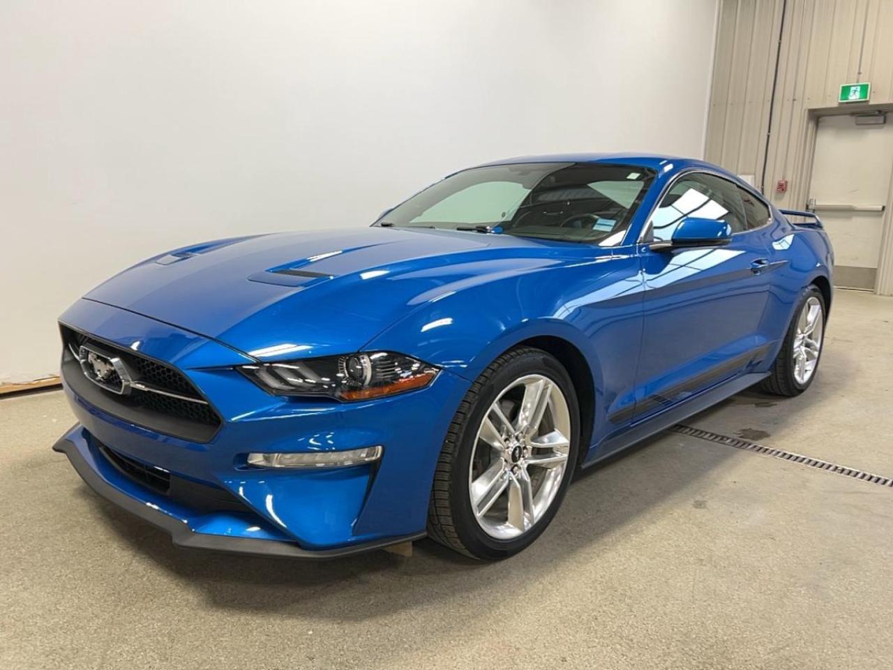 Used 2020 Ford Mustang EcoBoost Premium Fastback for sale in Moose Jaw, SK