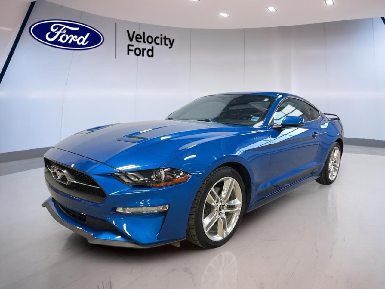 Used 2020 Ford Mustang EcoBoost Premium Fastback for sale in Moose Jaw, SK