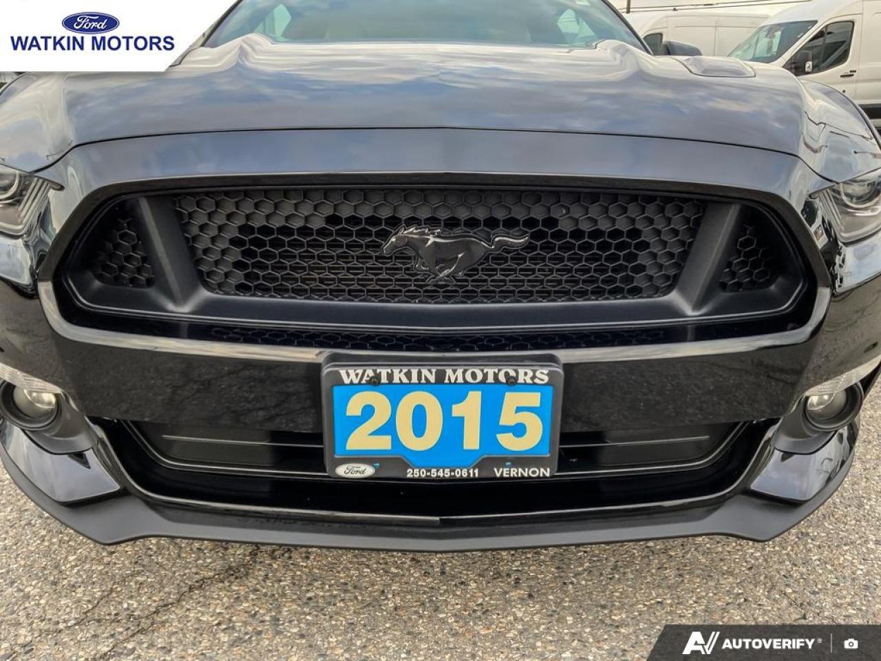 2015 Ford Mustang GT 5.0L COUPE Photo11