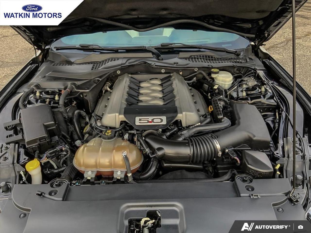 2015 Ford Mustang GT 5.0L COUPE Photo12