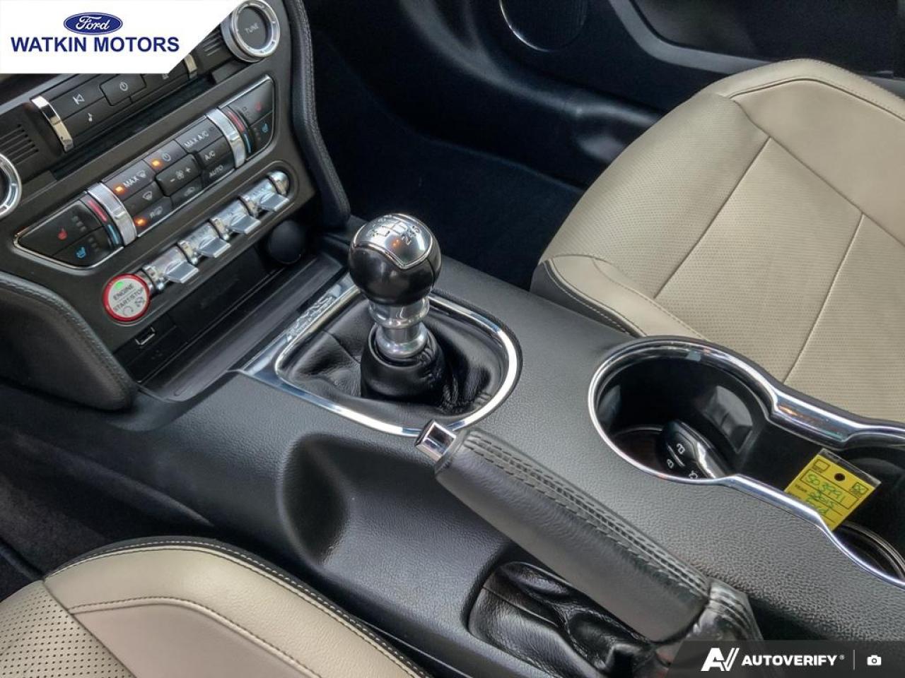 2015 Ford Mustang GT 5.0L COUPE Photo20