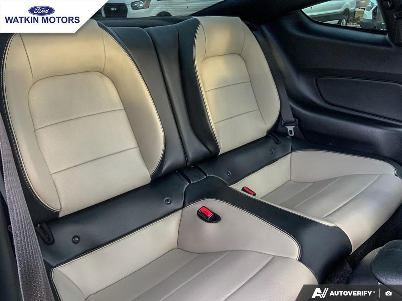 2015 Ford Mustang GT 5.0L COUPE Photo25