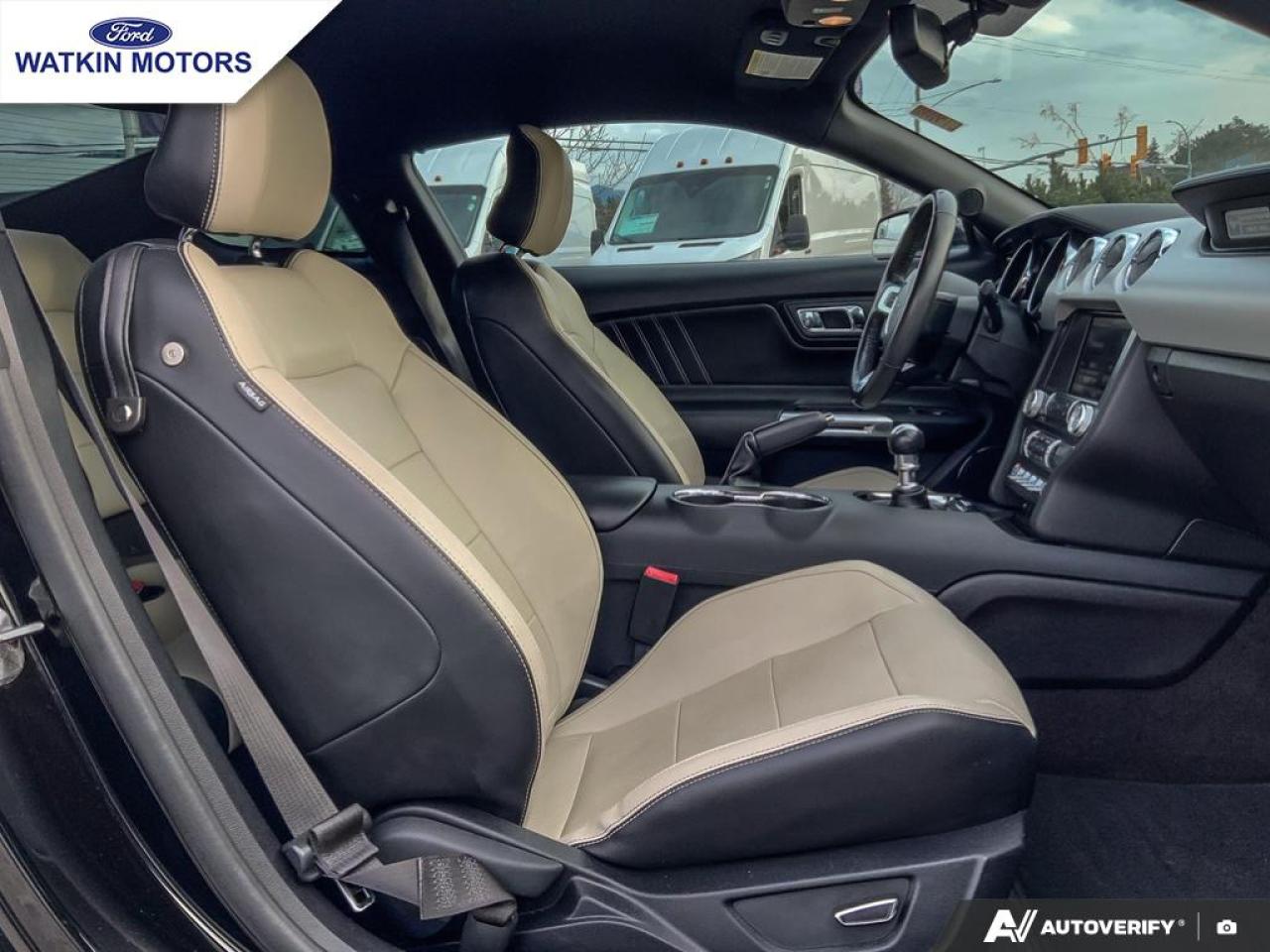 2015 Ford Mustang GT 5.0L COUPE Photo24