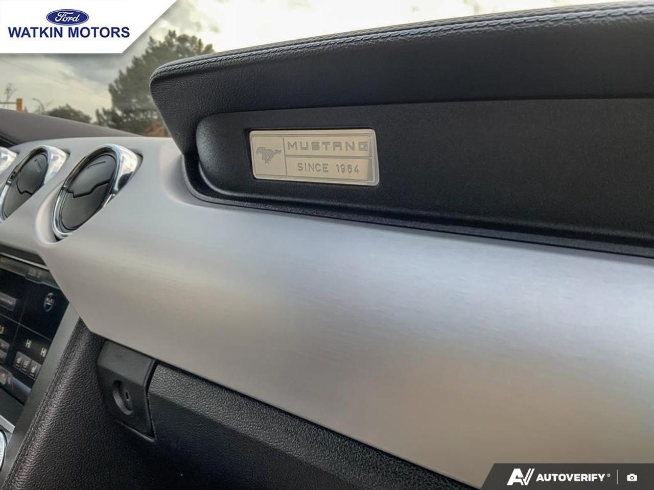 2015 Ford Mustang GT 5.0L COUPE Photo28