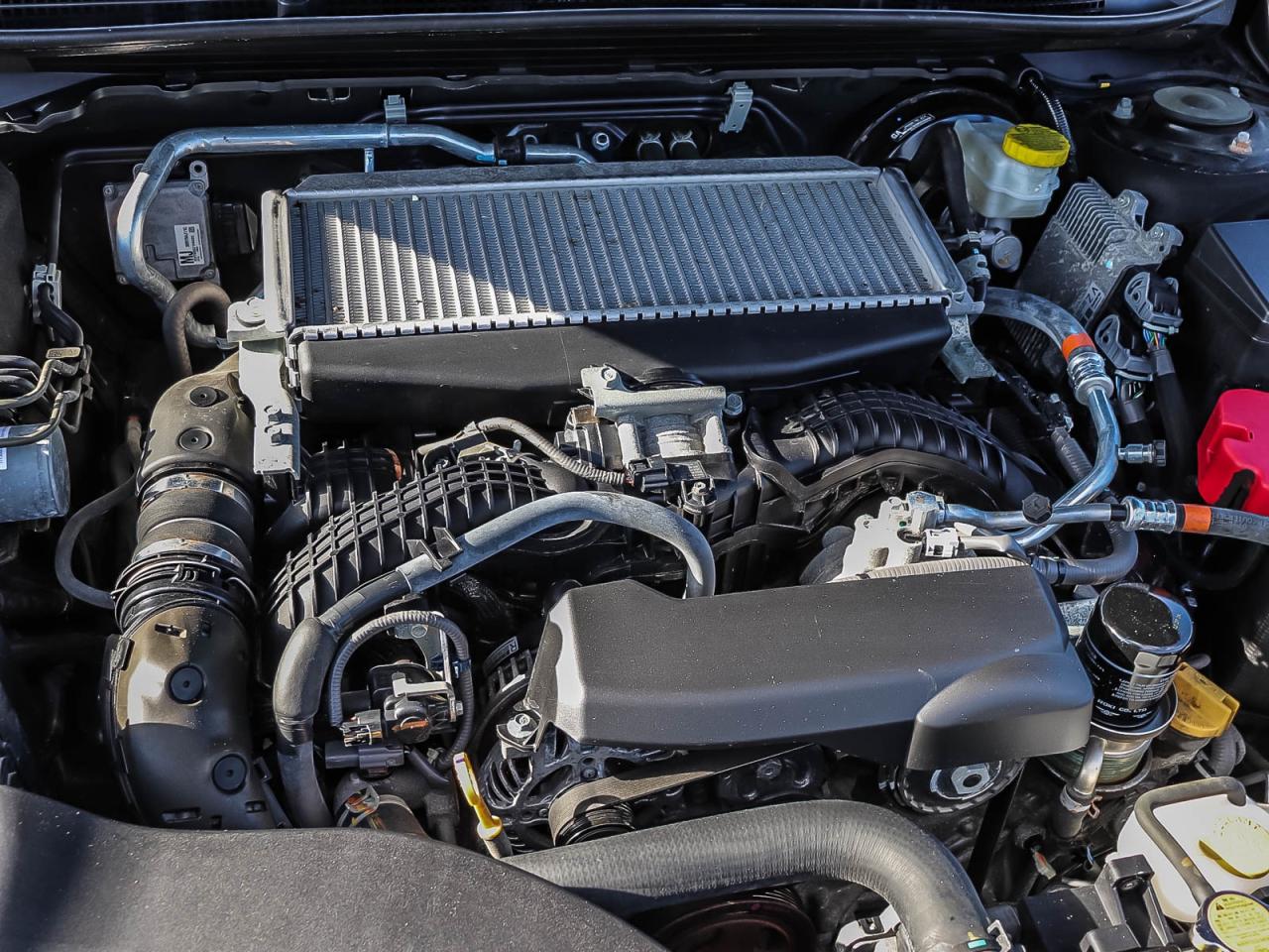 2022 Subaru Outback WILDERNESS Photo