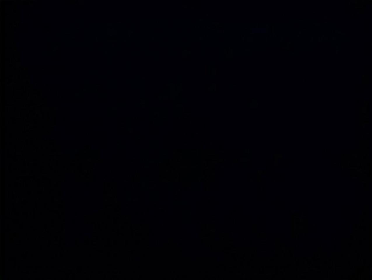 13191650.794098531