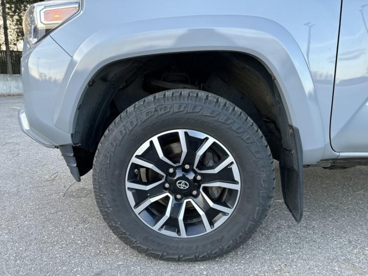 2021 Toyota Tacoma Crew Cab TRD Photo