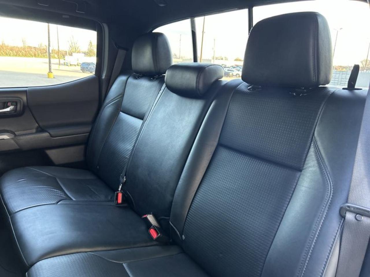 2021 Toyota Tacoma Crew Cab TRD Photo