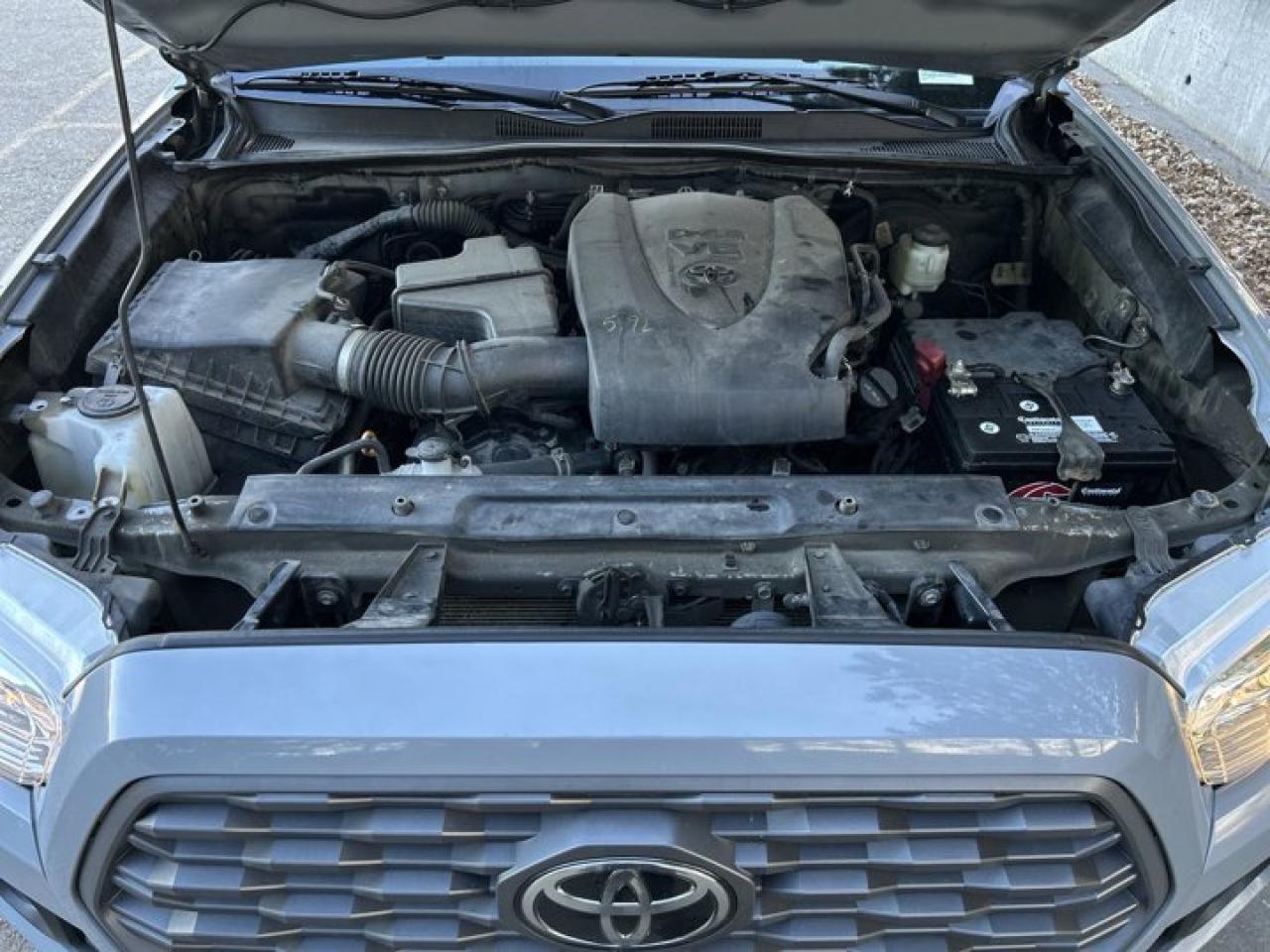 2021 Toyota Tacoma Crew Cab TRD Photo