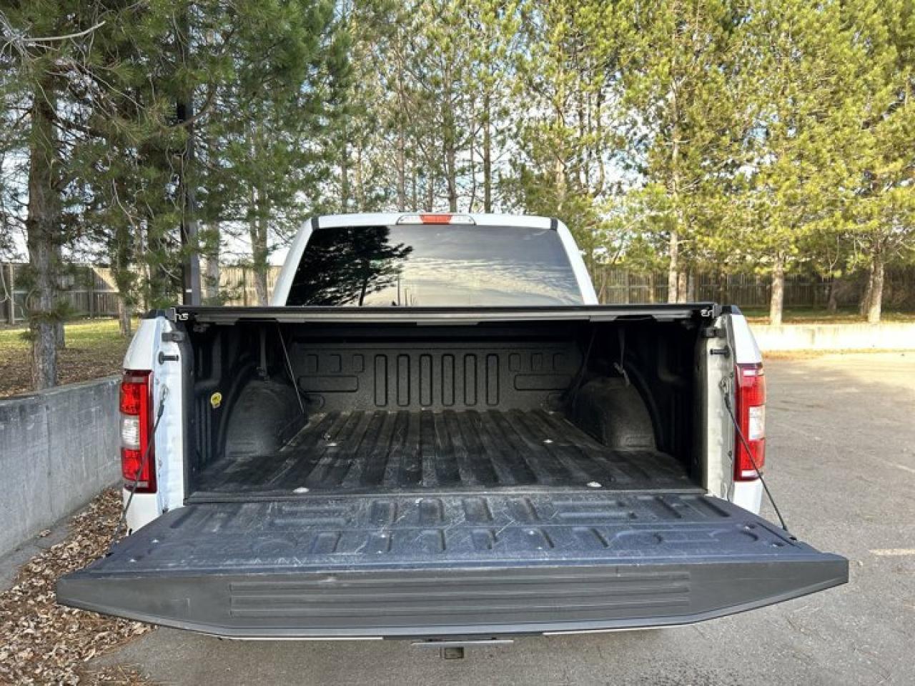 2020 Ford F-150 CREW Photo