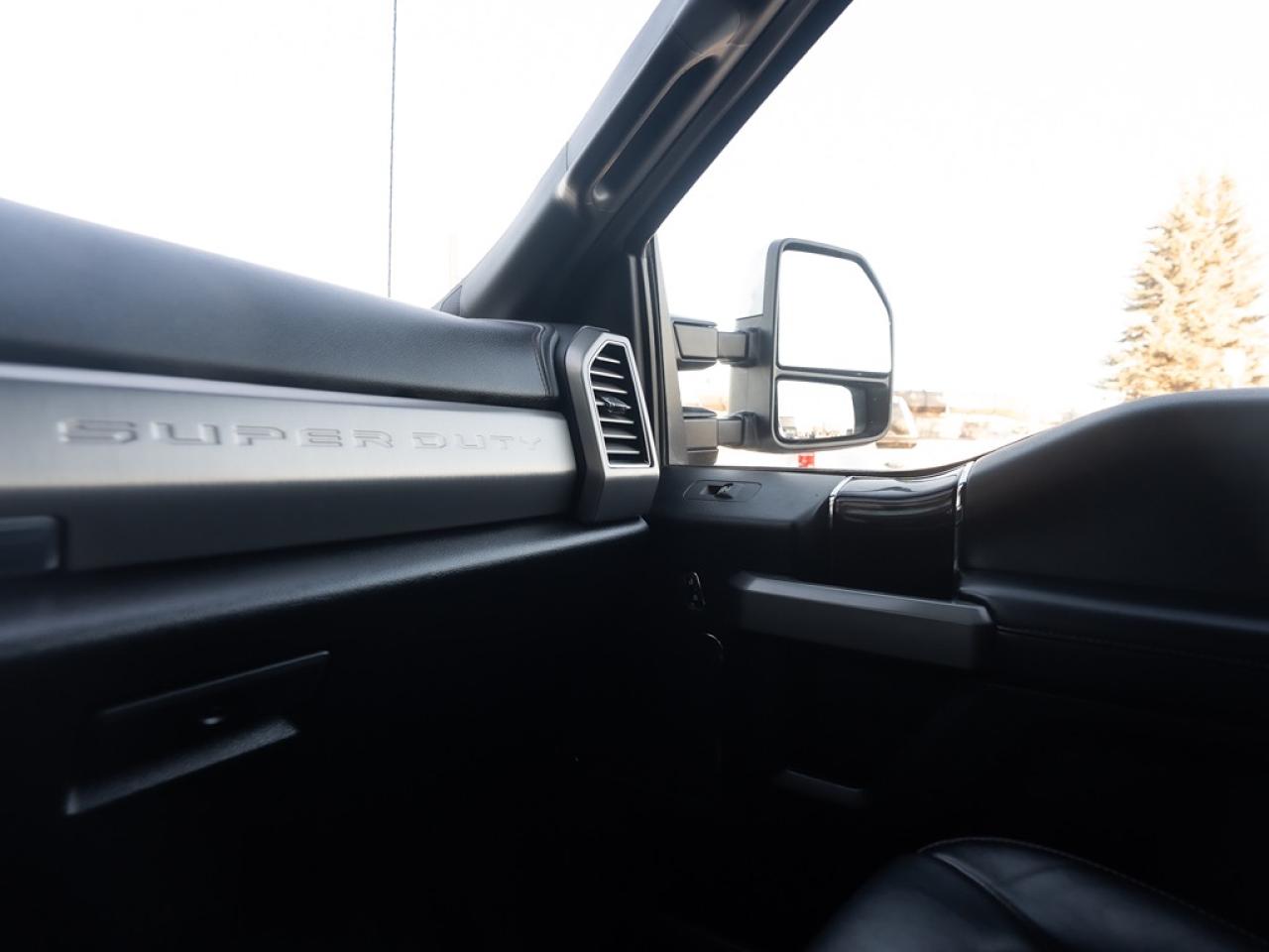 2021 Ford SUPER DUTY F-350 SRW Platinum Photo34