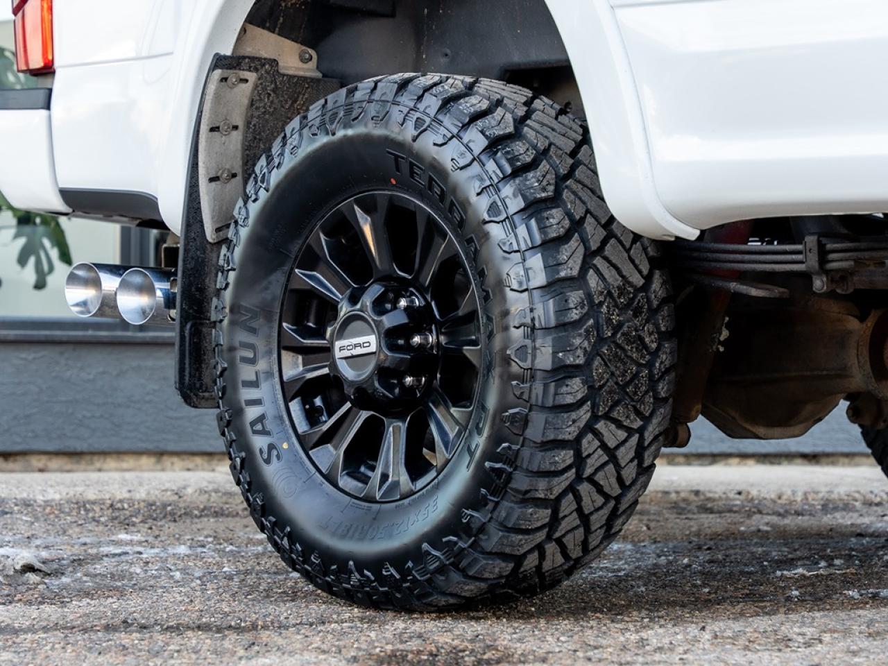 2021 Ford SUPER DUTY F-350 SRW Platinum Photo25