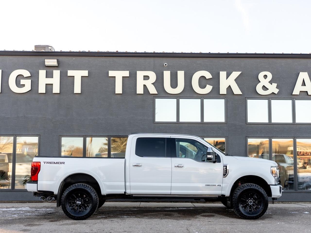 2021 Ford SUPER DUTY F-350 SRW Platinum Photo26