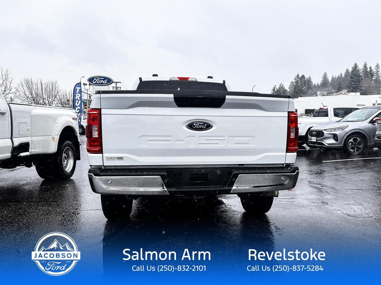 2023 Ford F-150 XLT Photo2