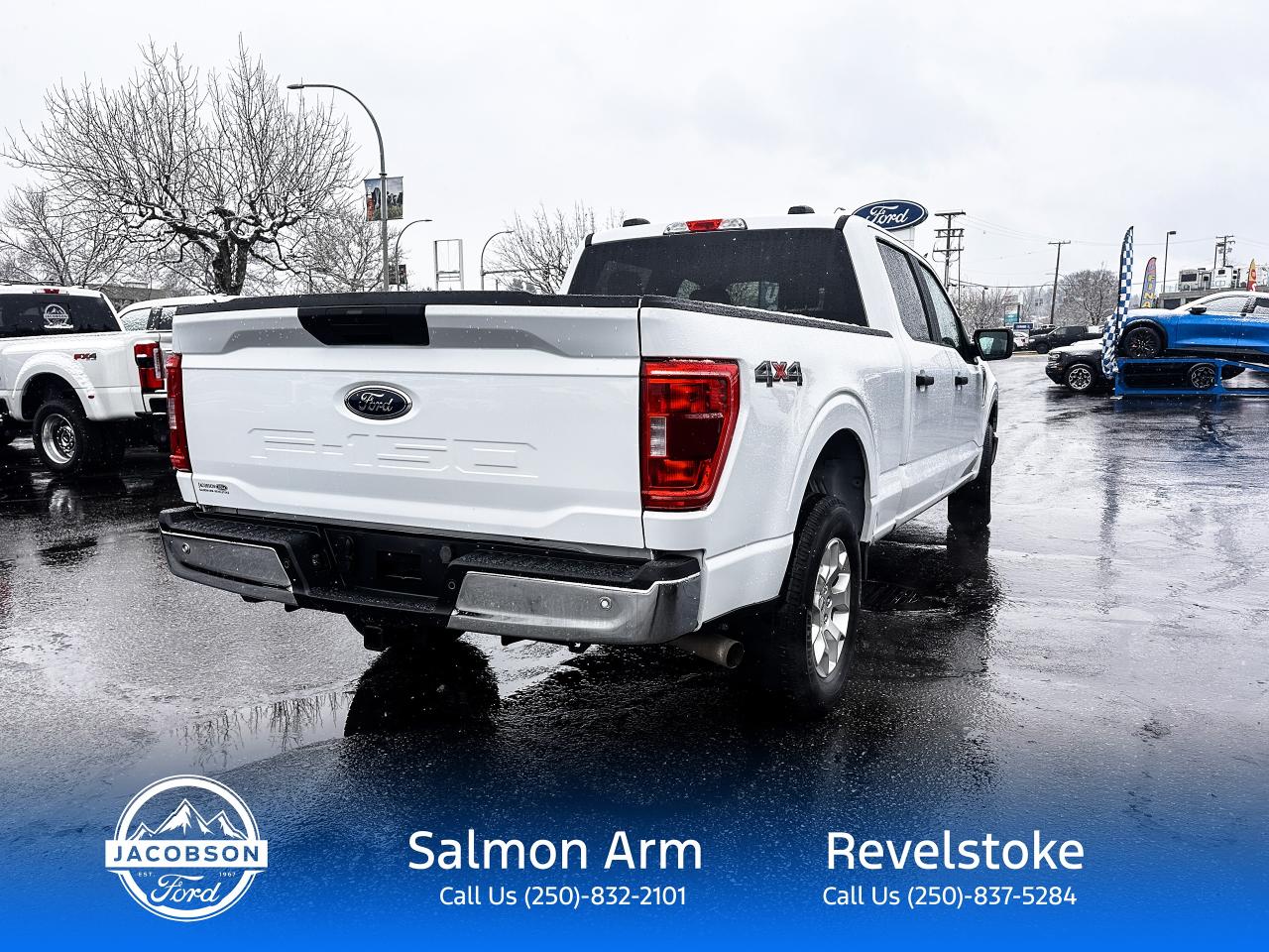 2023 Ford F-150 XLT Photo4