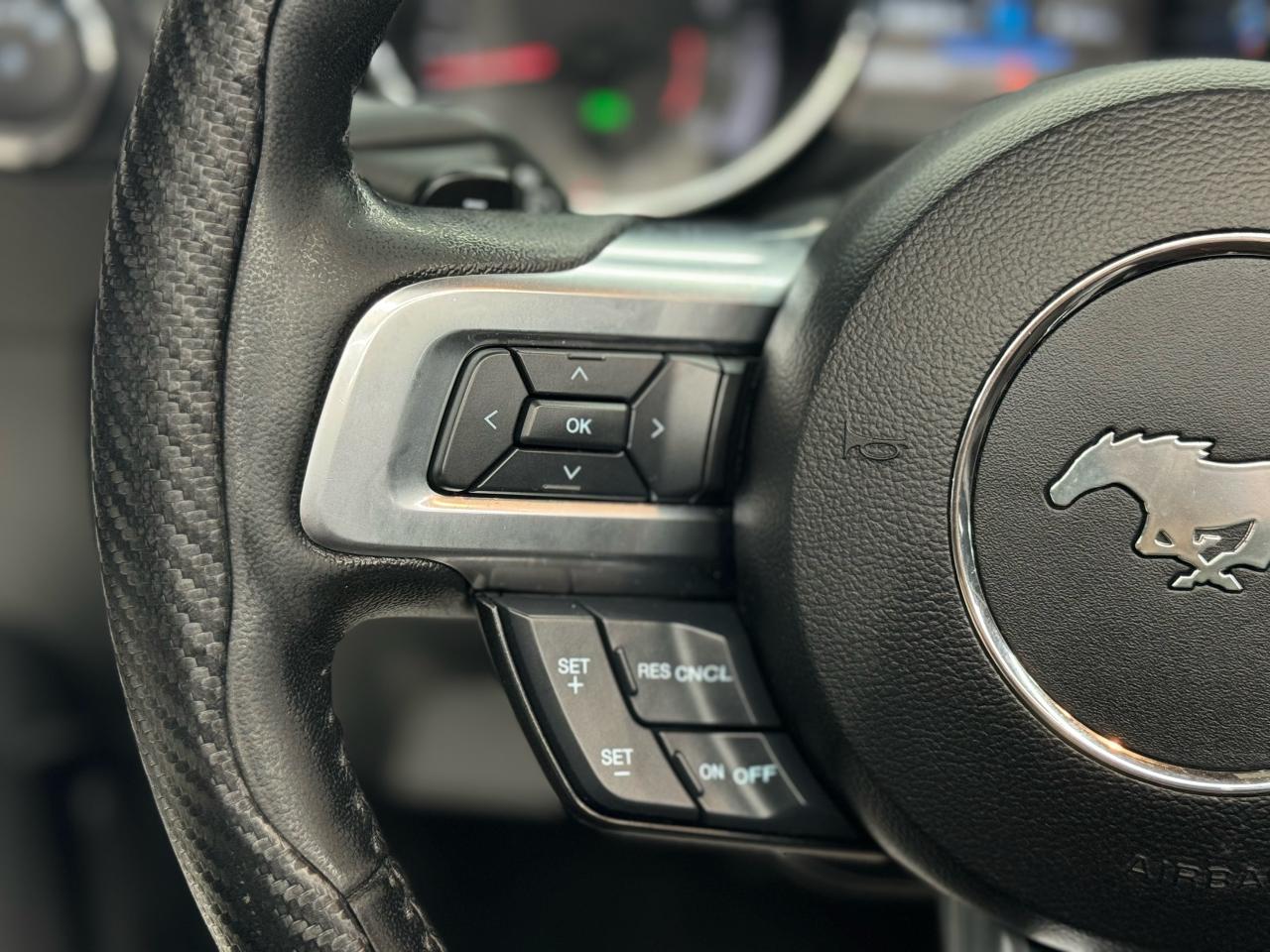 2017 Ford Mustang V6|CONVERTIBLE|BACKUP|BLUTOOTH|CRUISE CONTROL| - Photo #13
