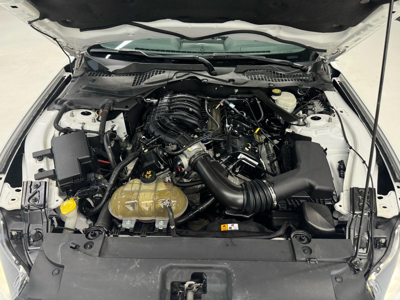 2017 Ford Mustang V6|CONVERTIBLE|BACKUP|BLUTOOTH|CRUISE CONTROL| - Photo #24