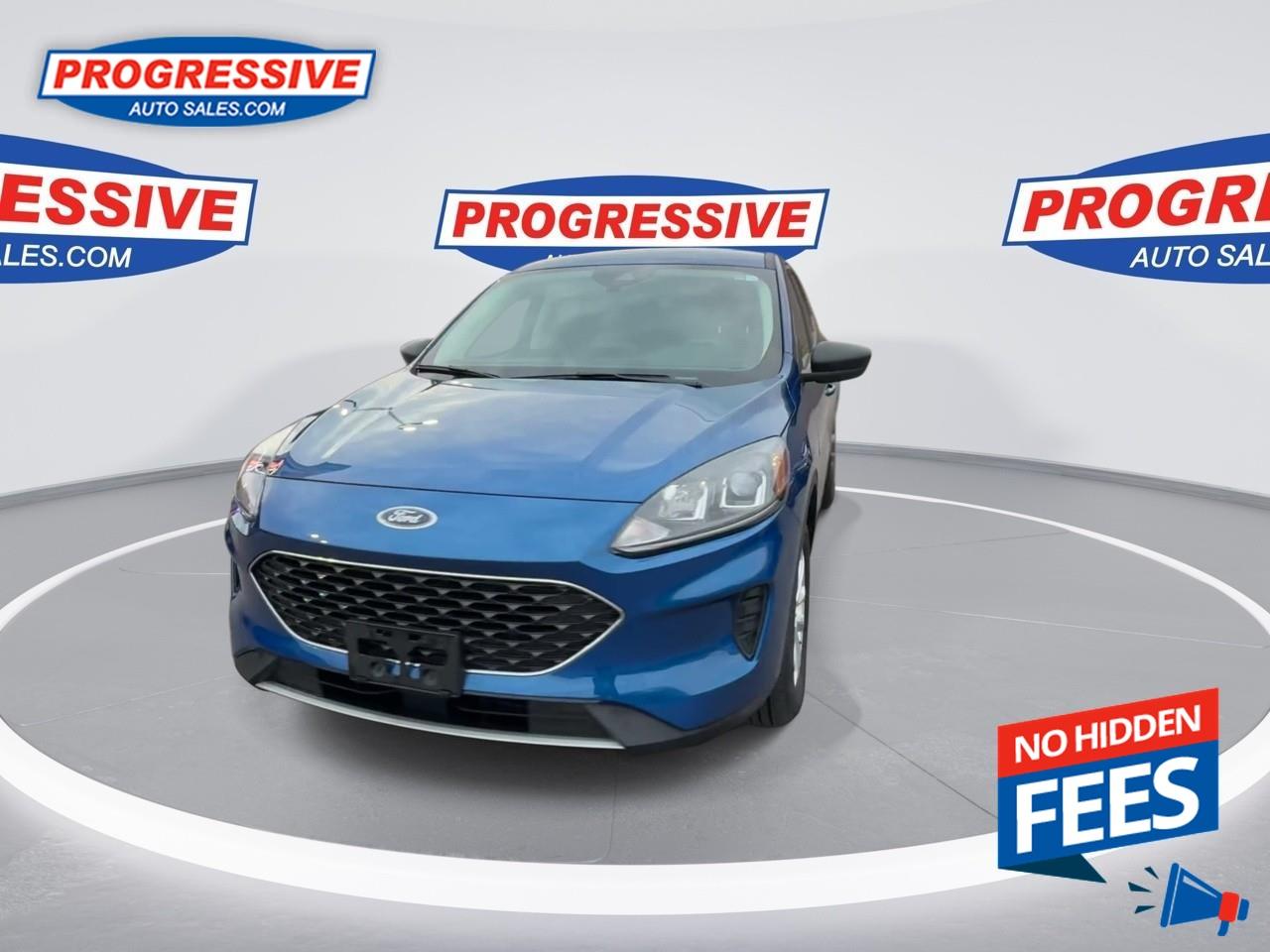 2022 Ford Escape SE Photo