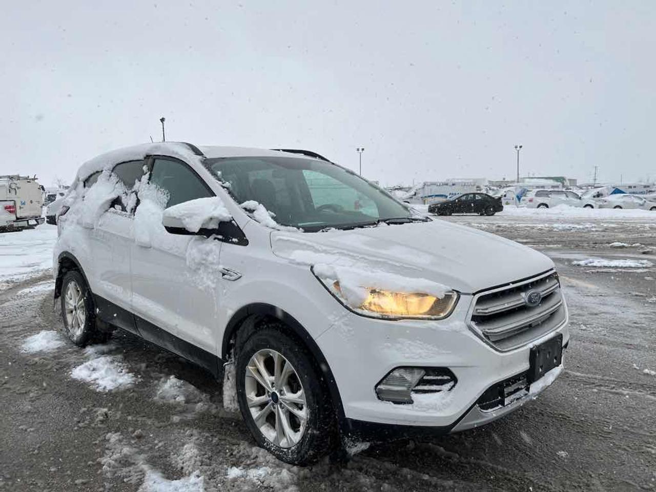 2017 Ford Escape SE Photo