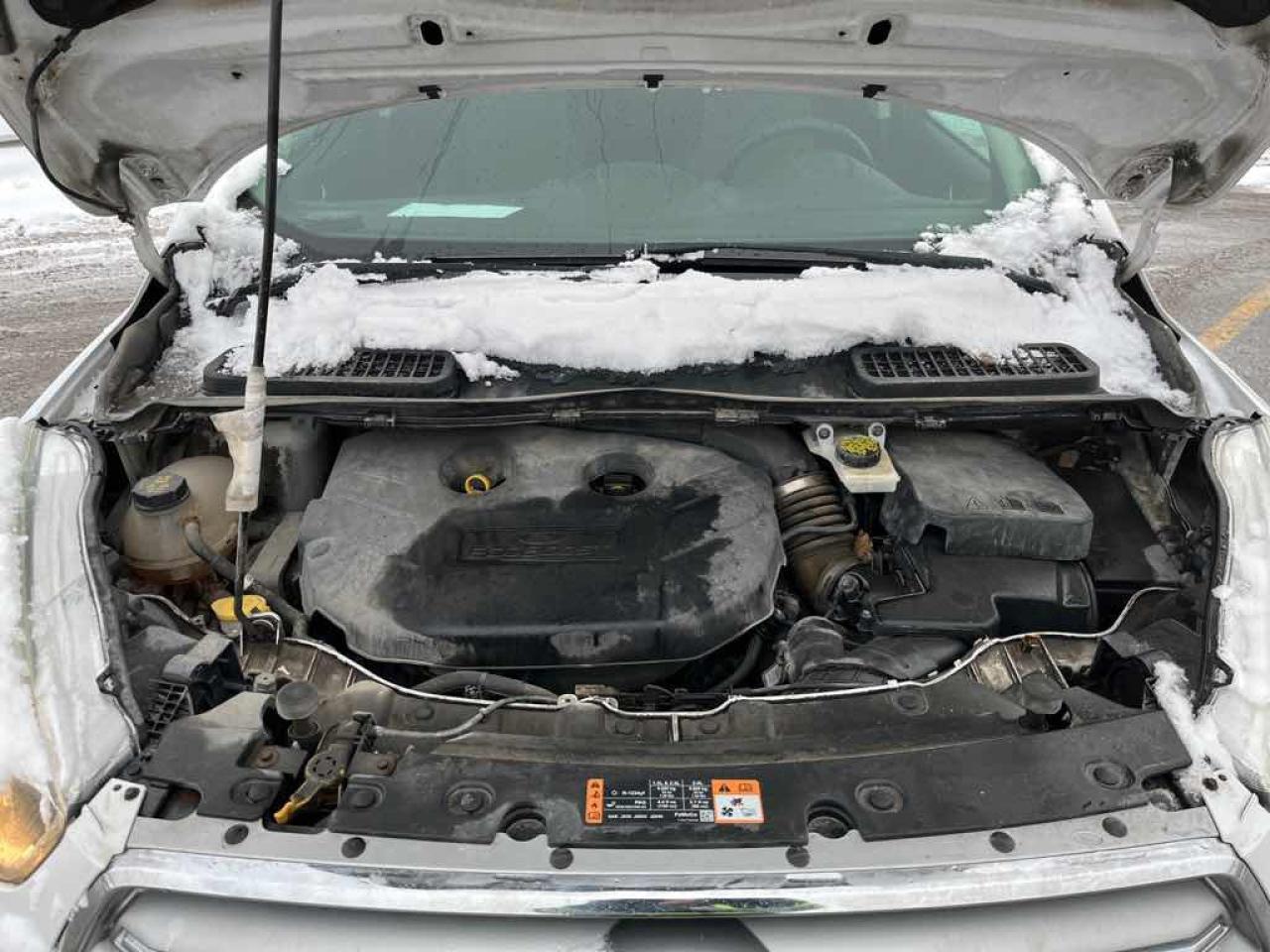 2017 Ford Escape SE - Photo #7