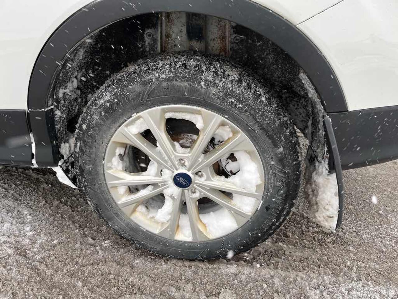 2017 Ford Escape SE Photo