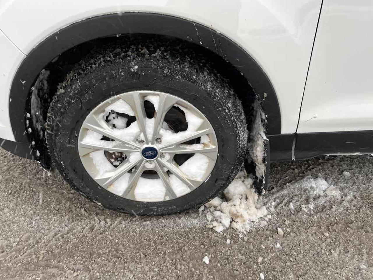 2017 Ford Escape SE Photo