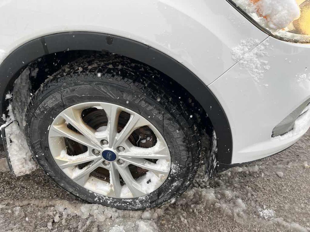 2017 Ford Escape SE Photo