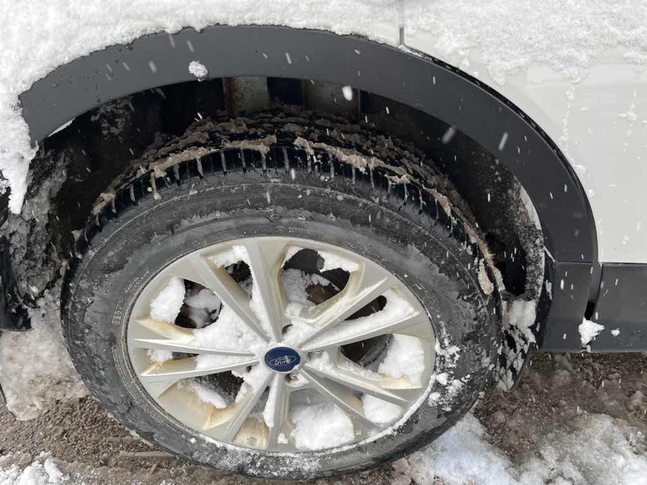 2017 Ford Escape SE Photo