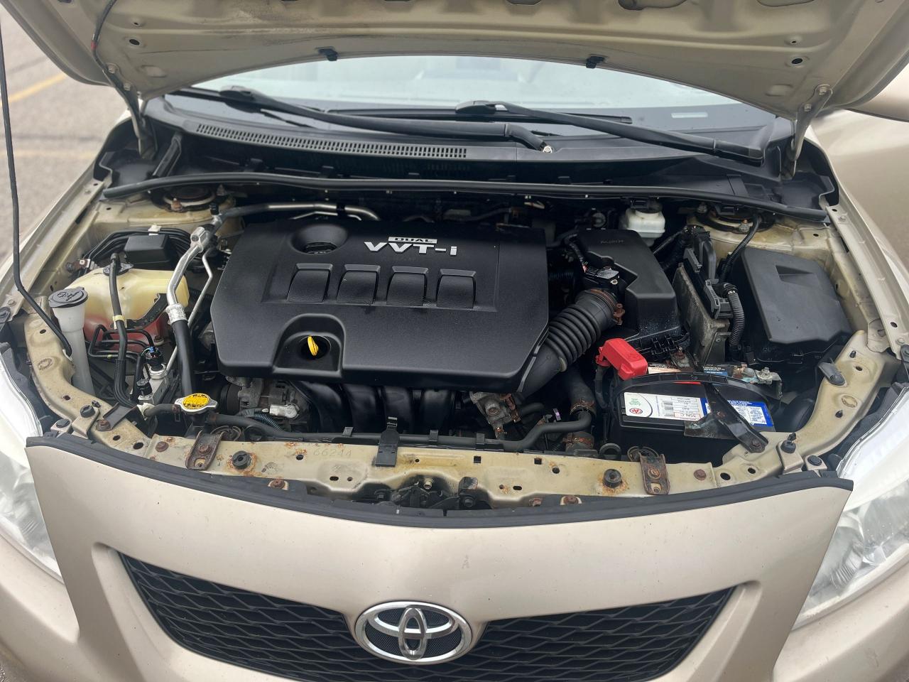 2010 Toyota Corolla LE Photo