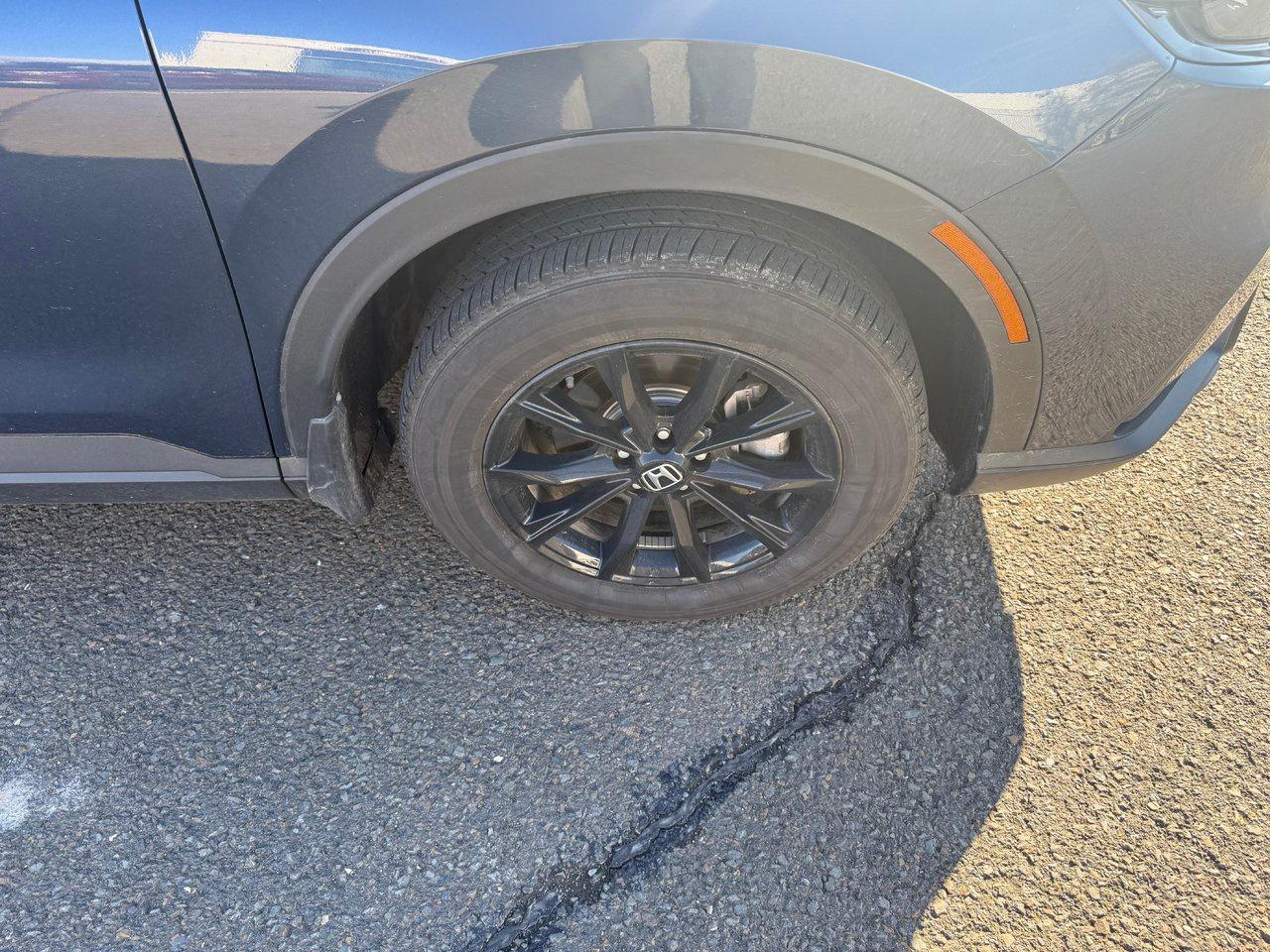 2025 Honda CR-V Hybrid EX-L Photo