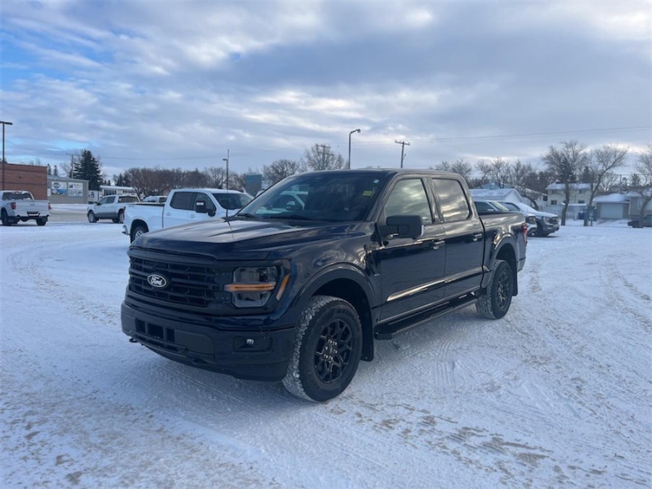 2025 Ford F-150 XLT  - 18" Wheels - Tow Package Photo5