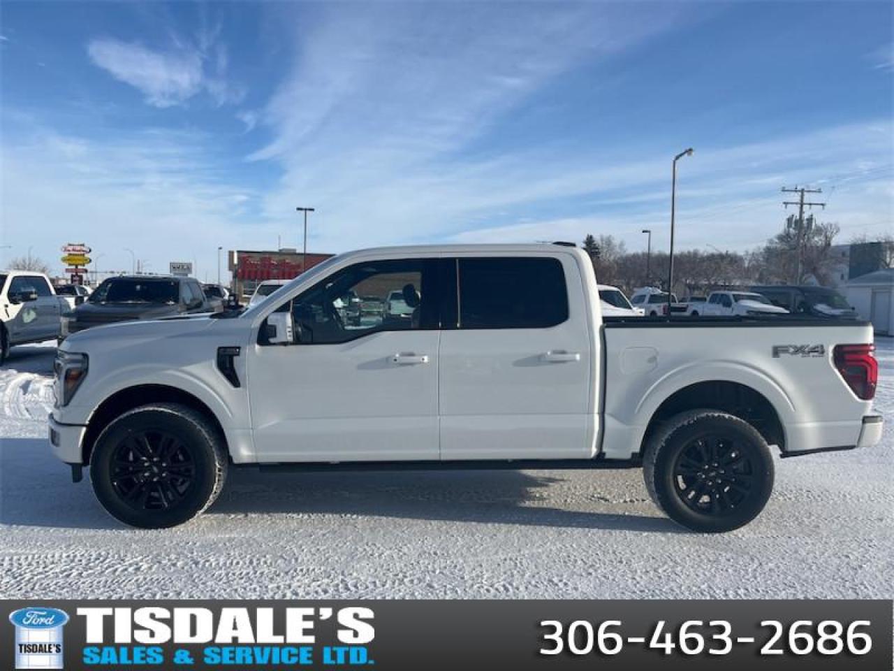 2025 Ford F-150 Platinum Photo0