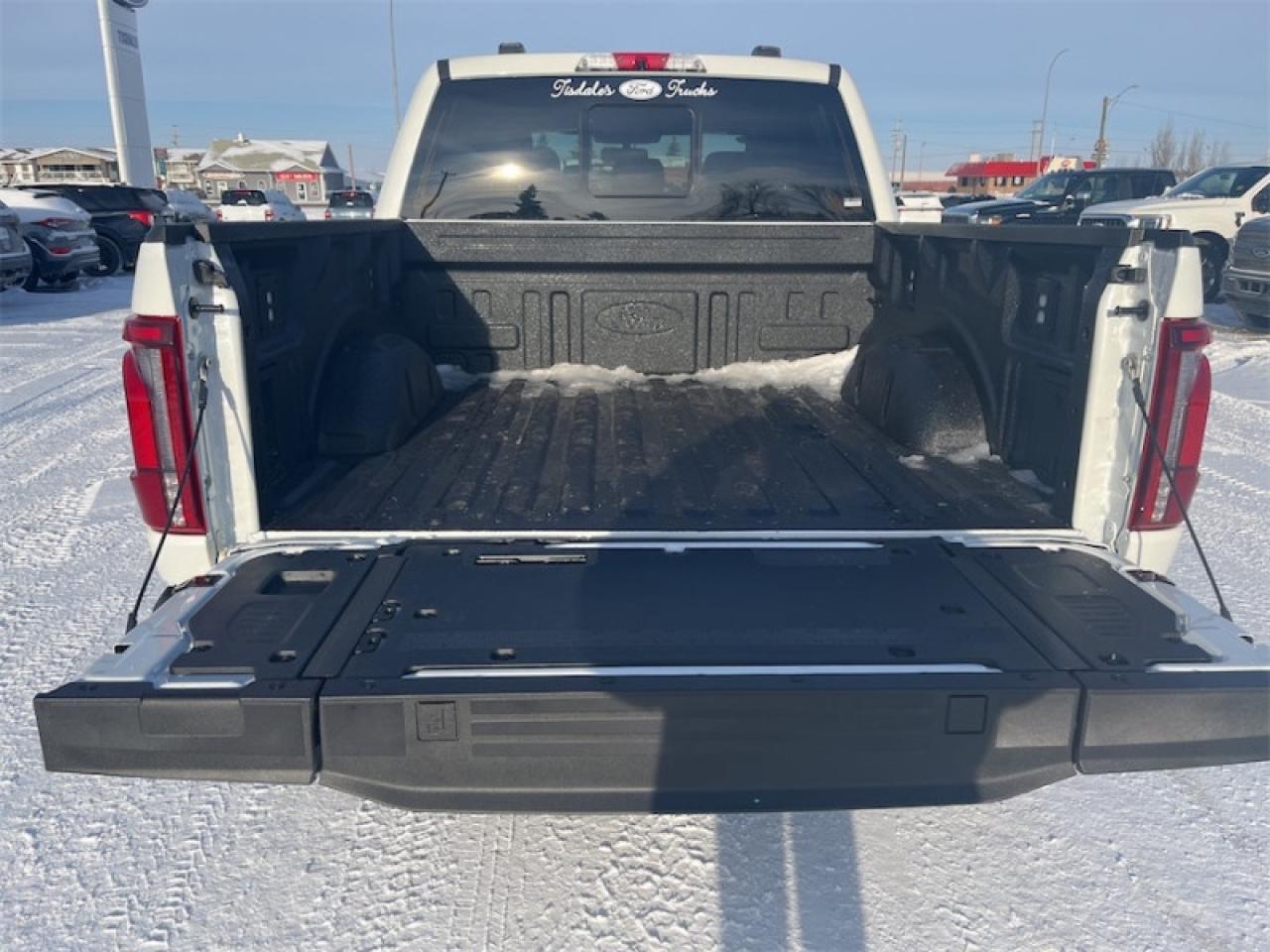 2025 Ford F-150 Platinum Photo5