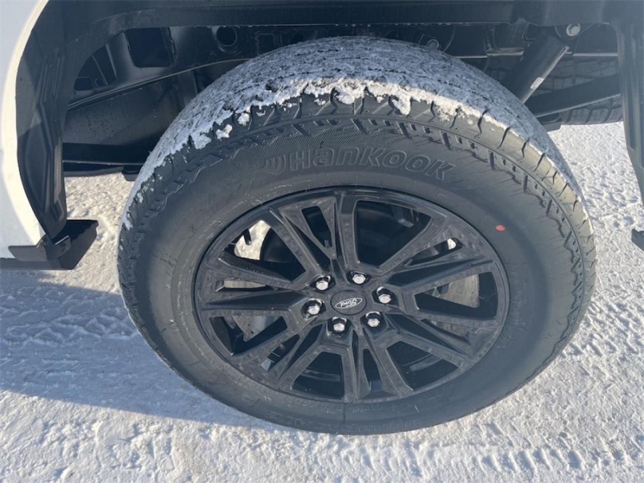 2025 Ford F-150 Platinum Photo5