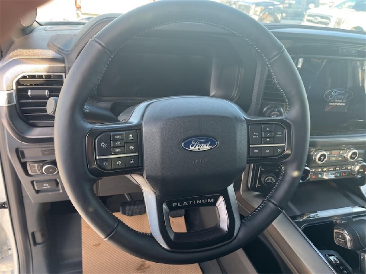 2025 Ford F-150 Platinum Photo5