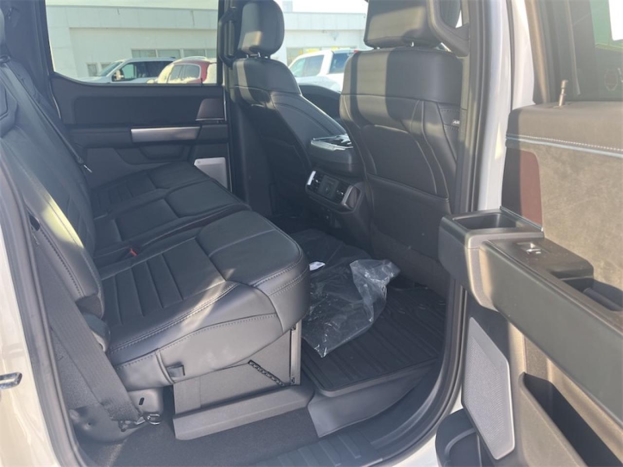 2025 Ford F-150 Platinum Photo5