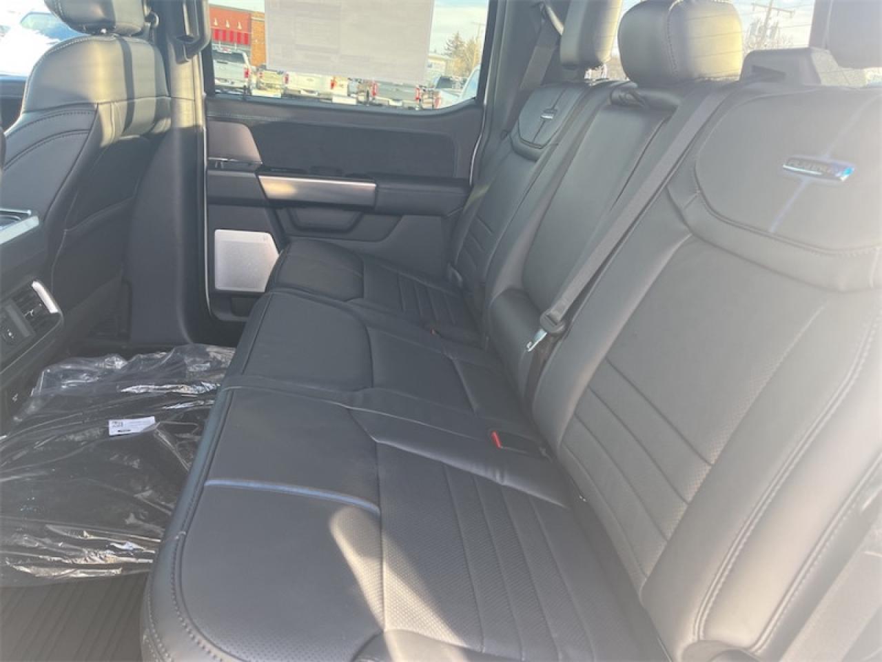 2025 Ford F-150 Platinum Photo5