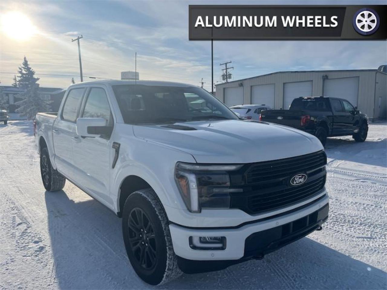 2025 Ford F-150 Platinum Photo5