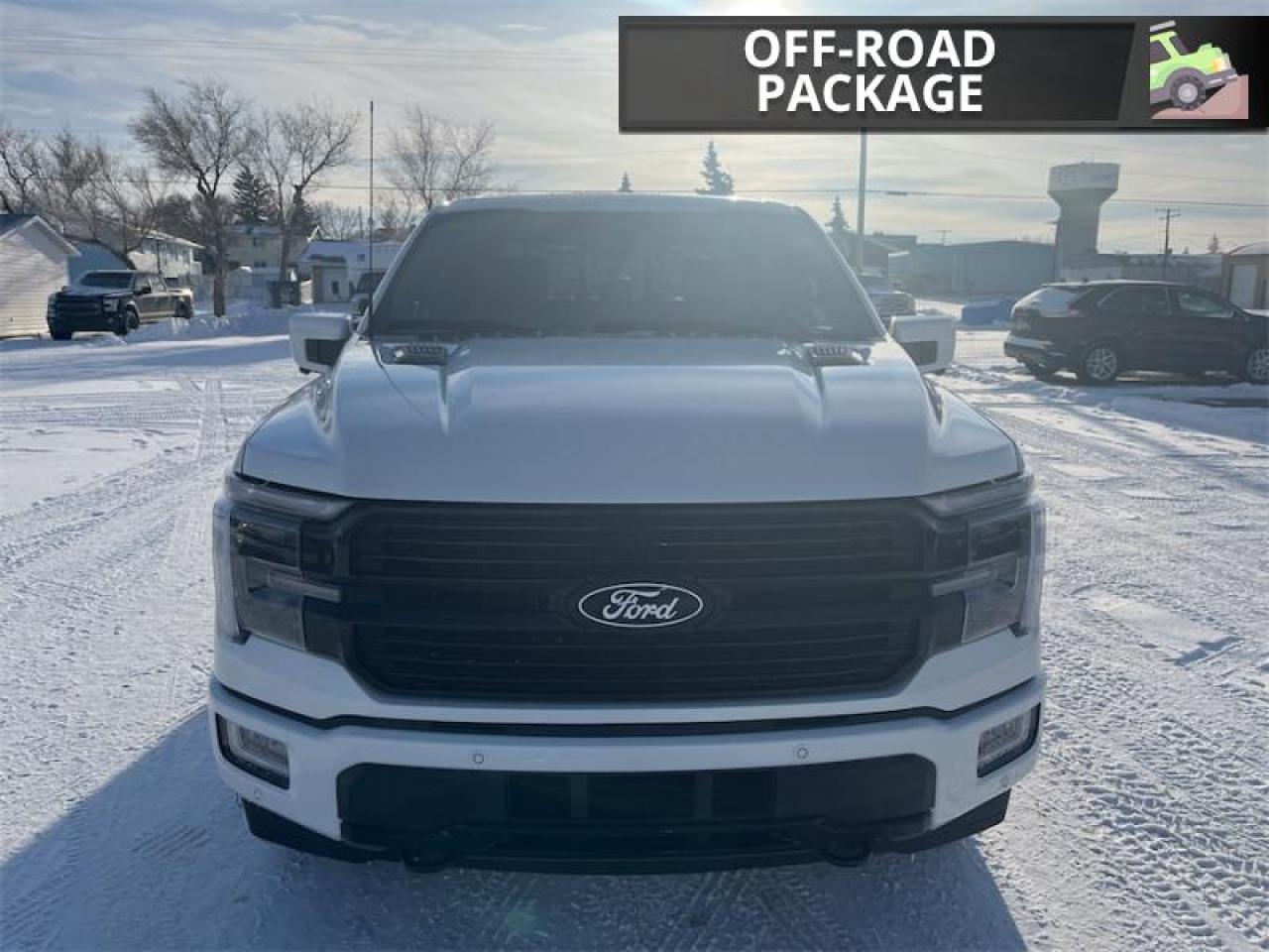 2025 Ford F-150 Platinum Photo3