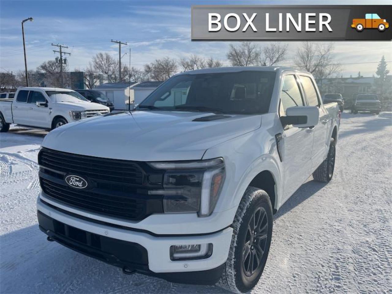 2025 Ford F-150 Platinum Photo4