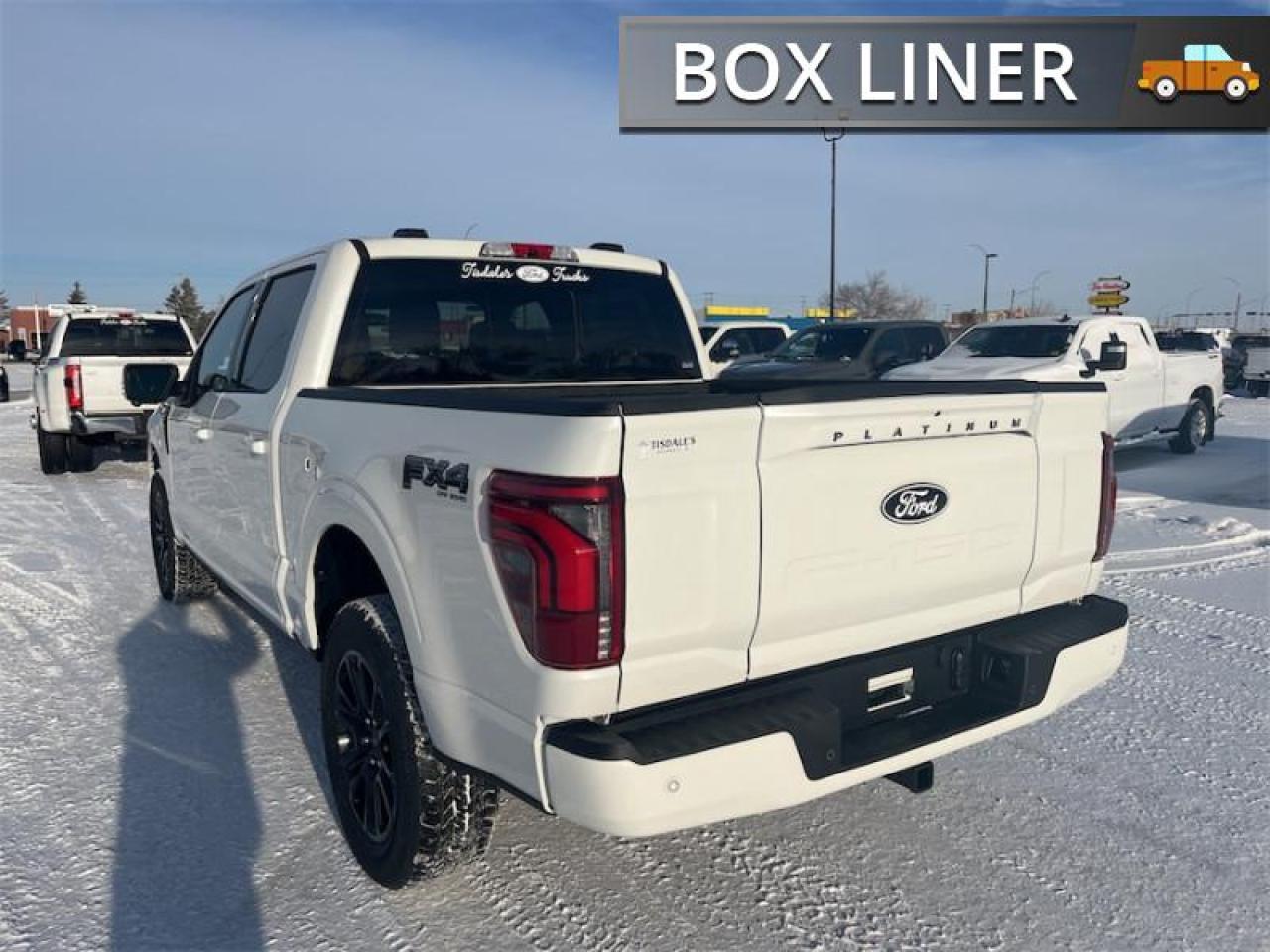 2025 Ford F-150 Platinum Photo5