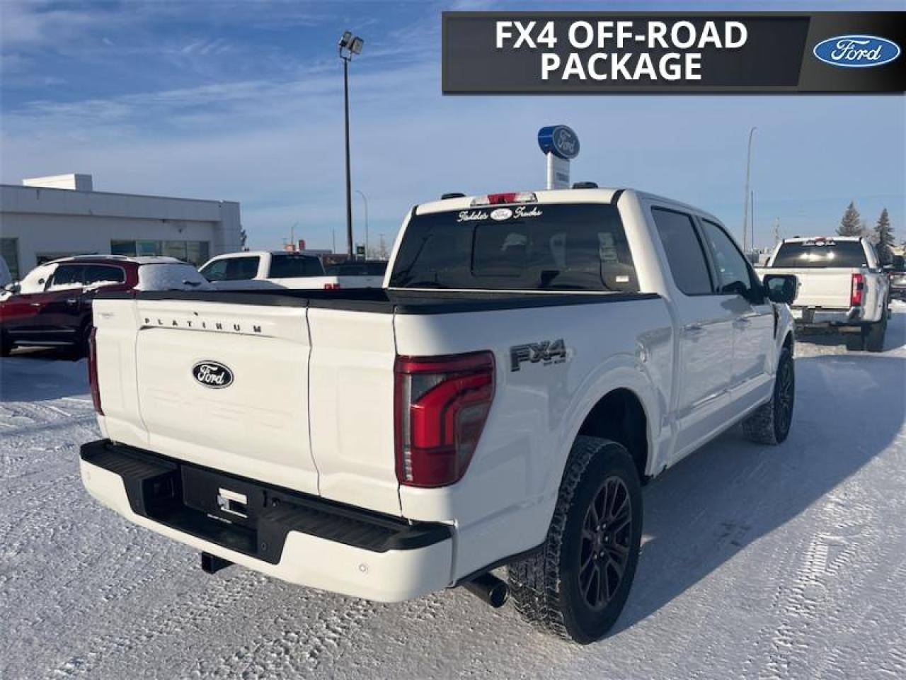 2025 Ford F-150 Platinum Photo5