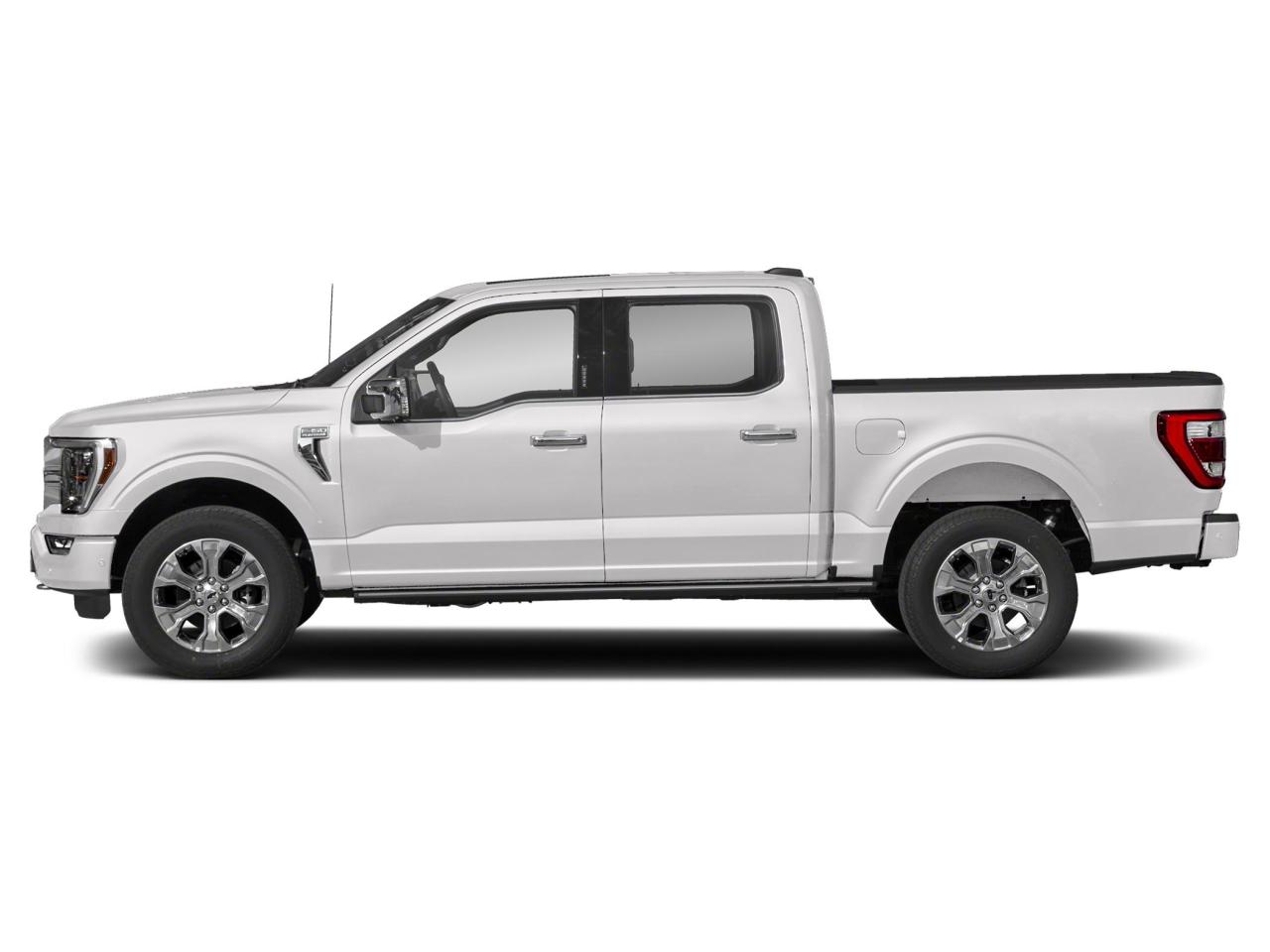 2022 Ford F-150 Platinum Photo2