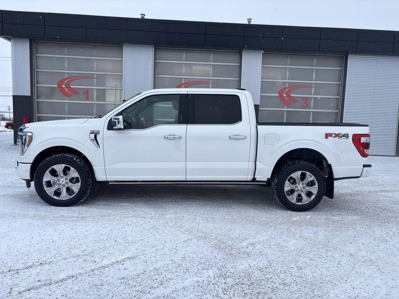 2022 Ford F-150 Platinum Photo3