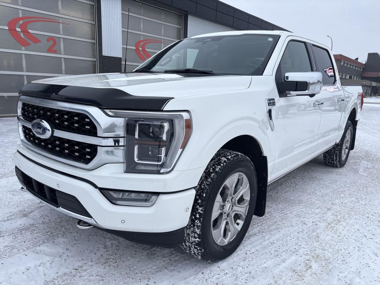 2022 Ford F-150 Platinum Photo1