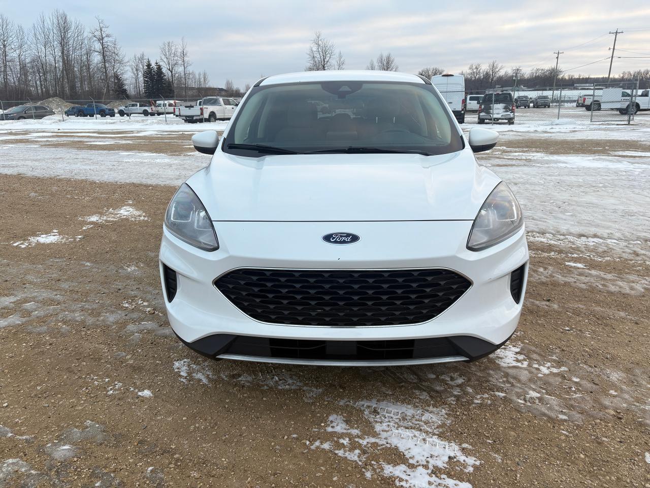 2020 Ford Escape SE Photo1