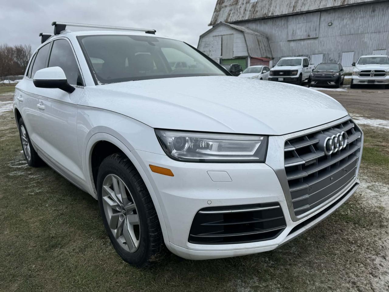 2019 Audi Q5 Komfort Photo