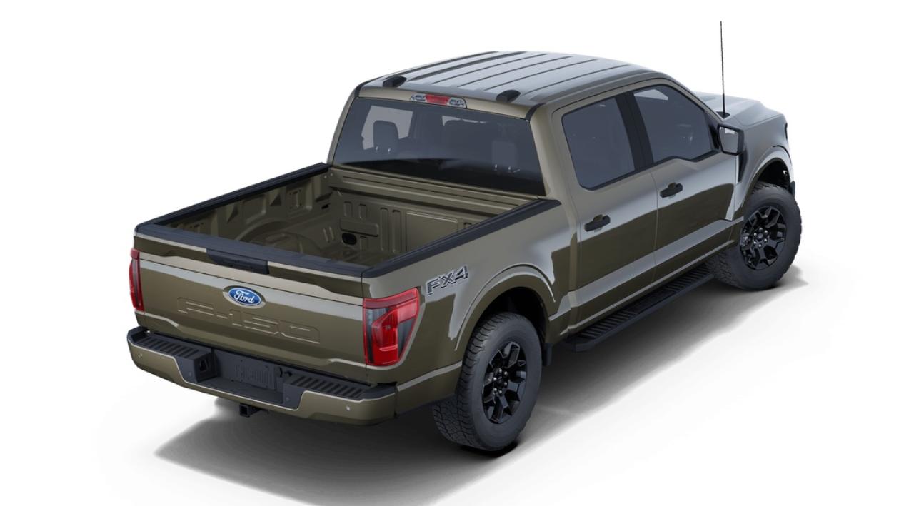 2025 Ford F-150 STX Photo
