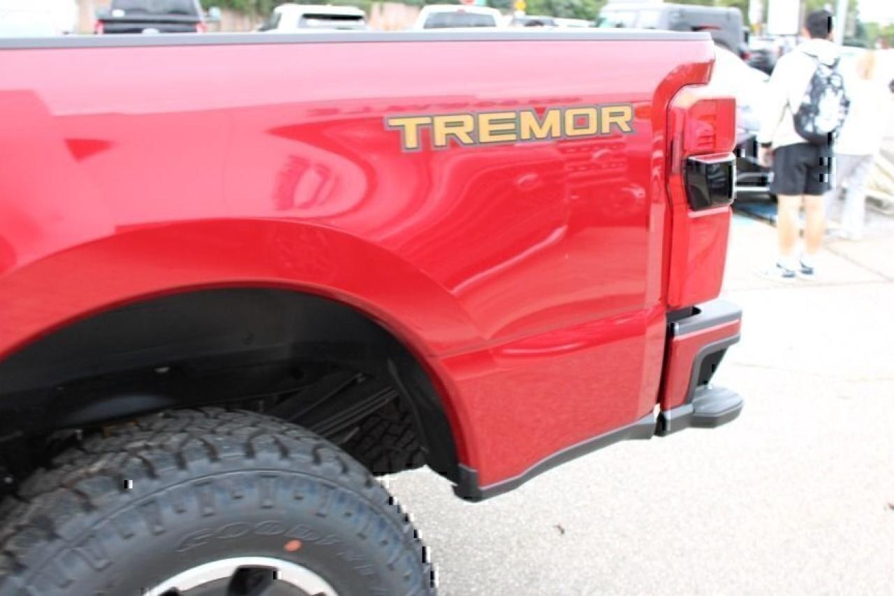 2024 Ford Super Duty F-350 Platinum Photo