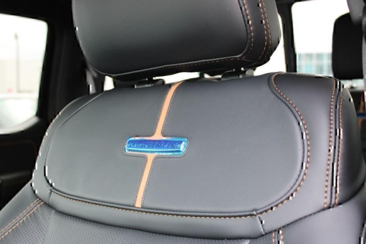 2024 Ford Super Duty F-350 Platinum Photo